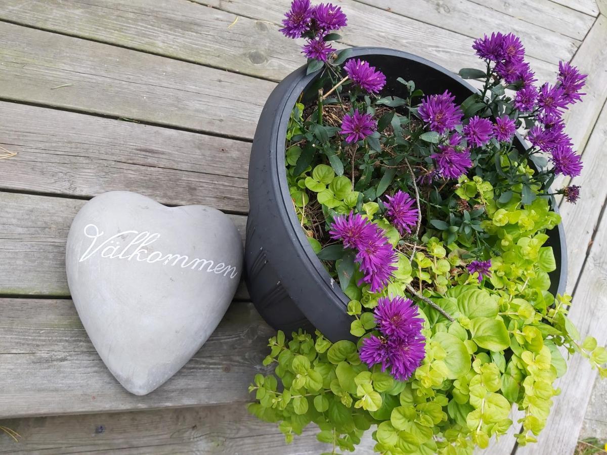 Hallestrand Cottage Krabban Strömstad Dış mekan fotoğraf